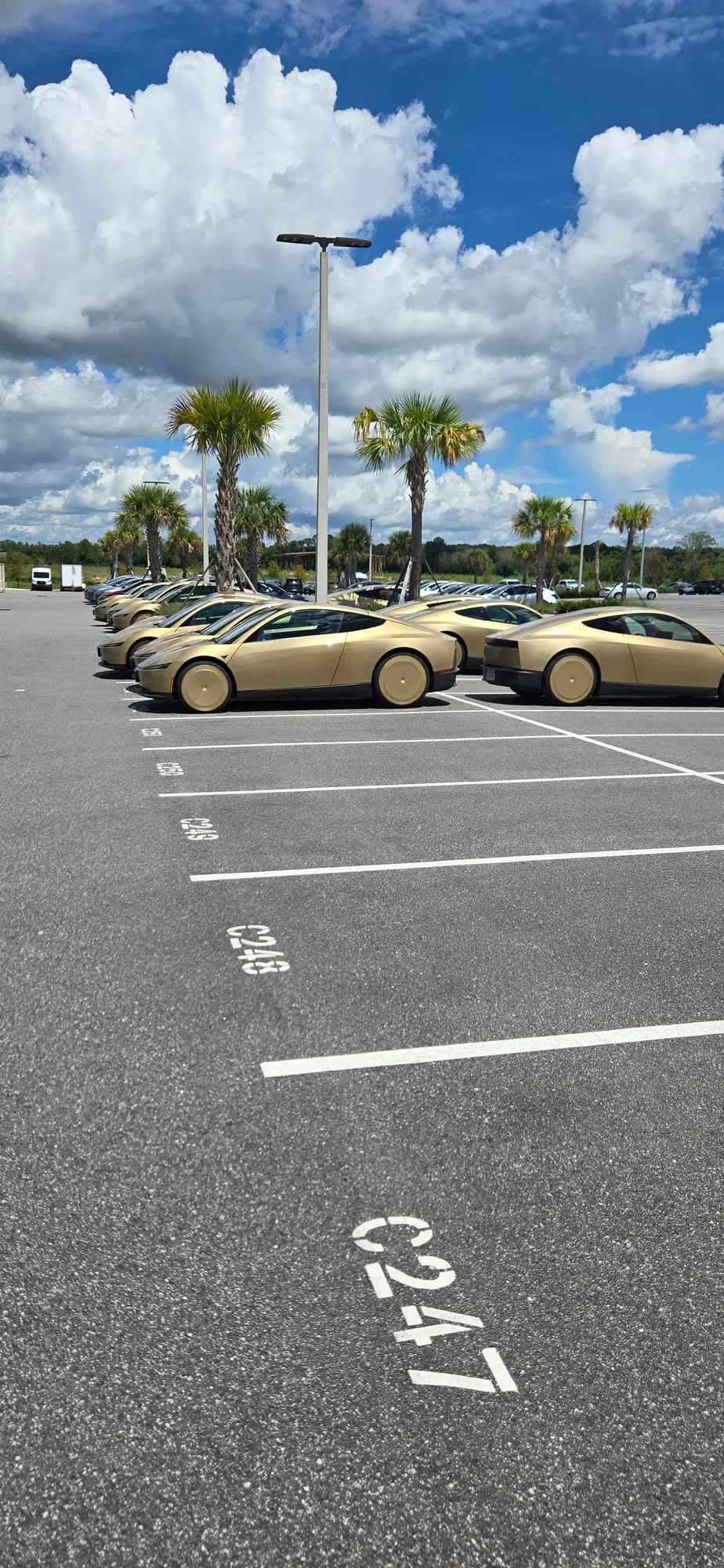 Fleet line-up, held for the afternoon light